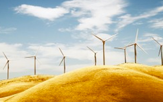 A wind farm with multiple wind turbines.